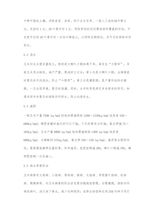 北方玉米高产栽培技术.docx