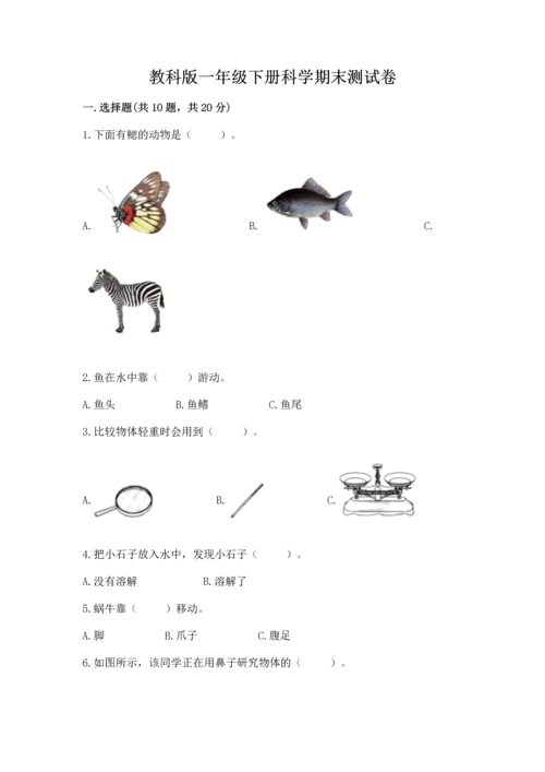 教科版一年级下册科学期末测试卷带答案（综合题）.docx