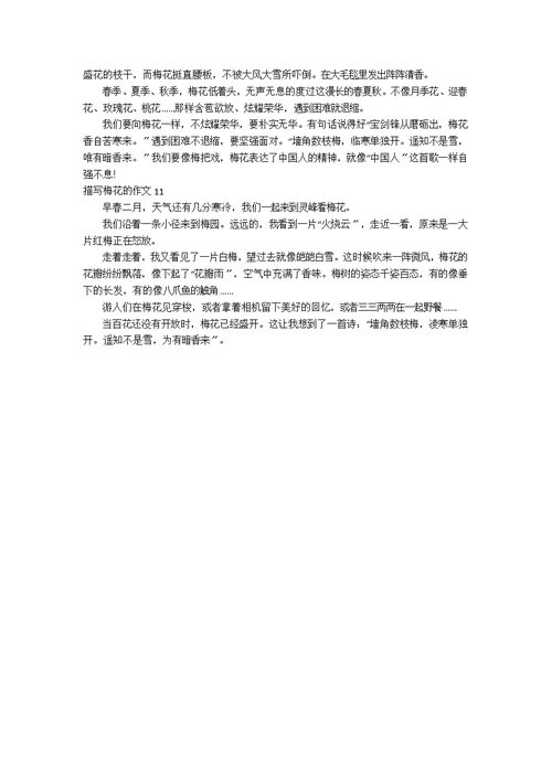 【热】描写梅花的作文11篇