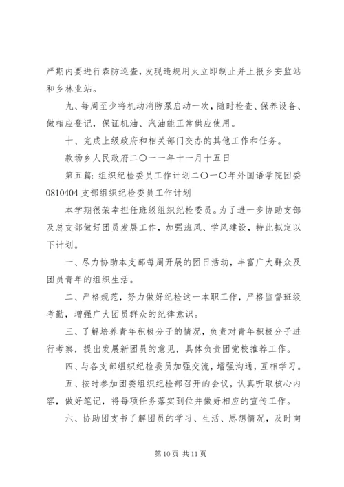 村纪检委员月工作计划 (2).docx