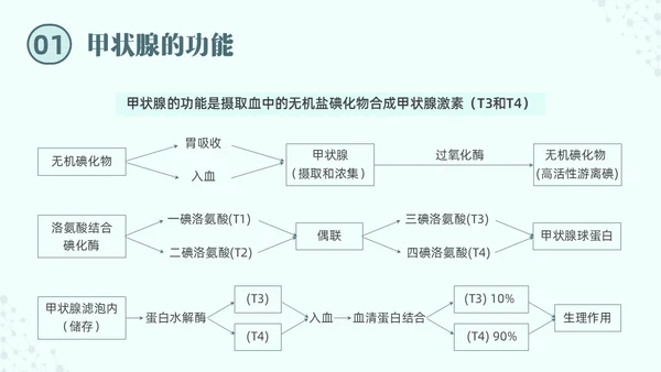 绿色实拍医院培训甲状腺疾病与外科治疗PPT课件