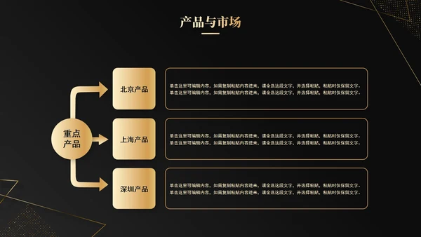 大气黑金企业宣传公司介绍PPT模板