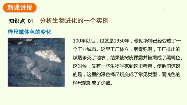 7.3.3生物进化的原因-八年级生物人教版下学期同步精品课件(共44张PPT)