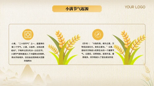黄色节气之小满PPT模版