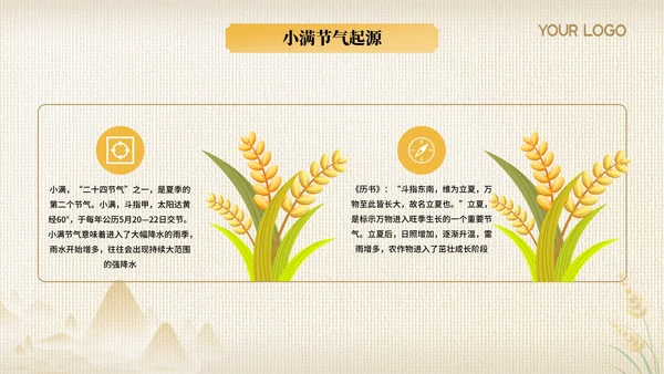 黄色节气之小满PPT模版