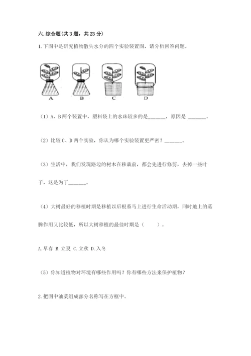 科学四年级下册第一单元植物的生长变化测试卷精品【名师系列】.docx