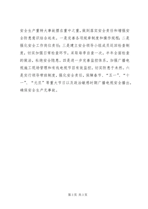 广电局年度安全生产工作计划.docx