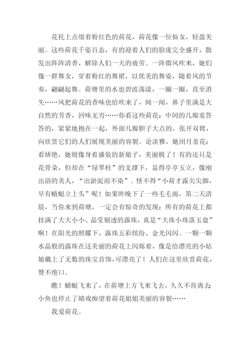 借景抒情的作文800字.docx