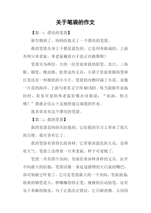 关于笔袋的作文.docx