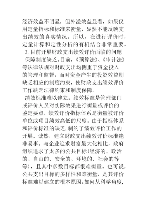 浅谈政府财政支出绩效评价.docx