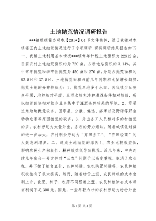 土地抛荒情况调研报告.docx