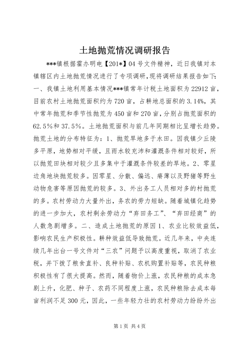 土地抛荒情况调研报告.docx