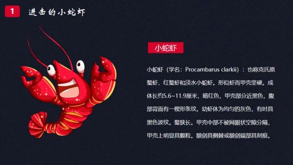 夜市小龙虾主题大餐通用PPT模板