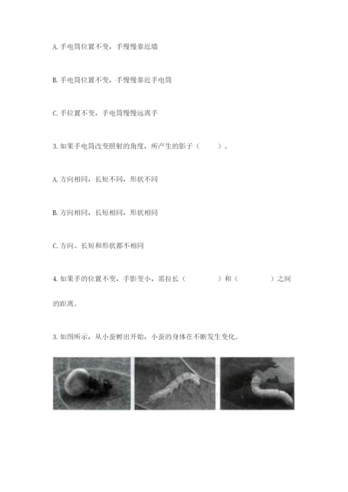 教科版科学三年级下册 期末测试卷精品【达标题】.docx