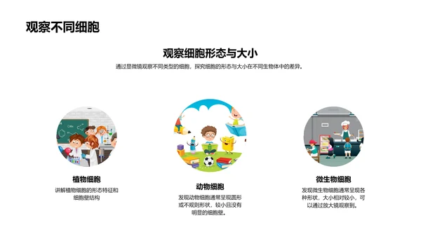 细胞知识讲解PPT模板