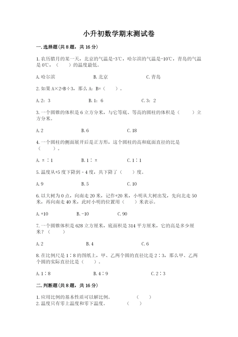 小升初数学期末测试卷各版本.docx