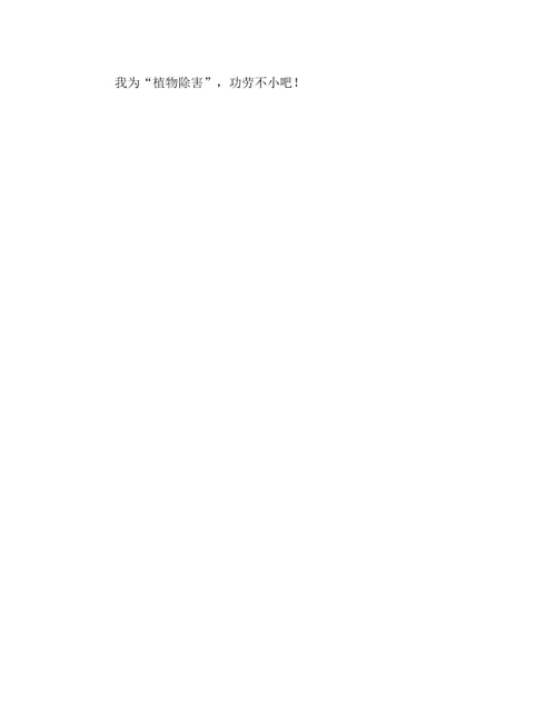 蝗虫的作文300字