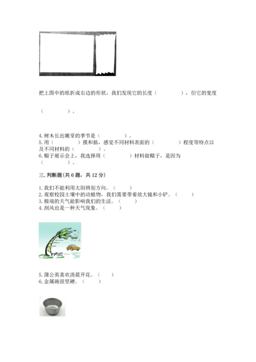 教科版二年级上册科学期末测试卷加答案解析.docx