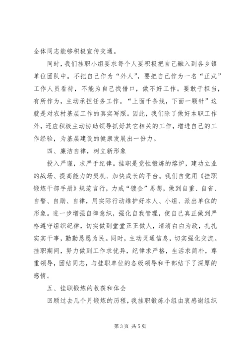 乡镇挂职锻炼学习工作总结.docx