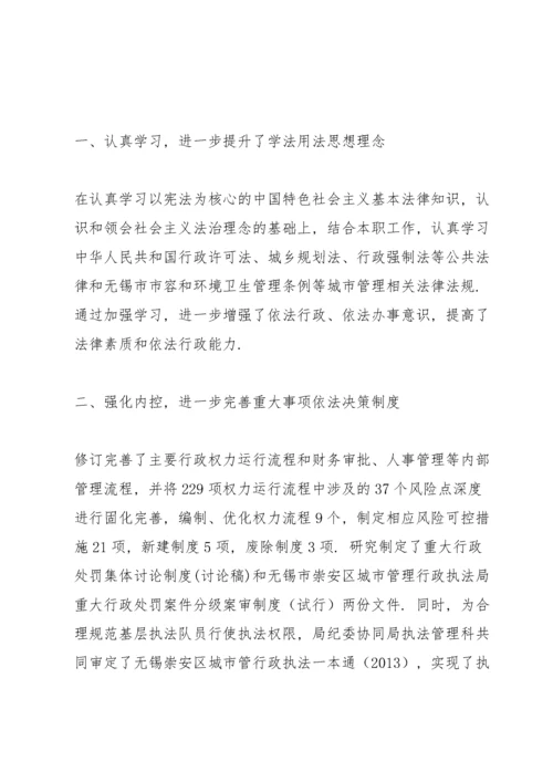干部年度述法表个人总结.docx