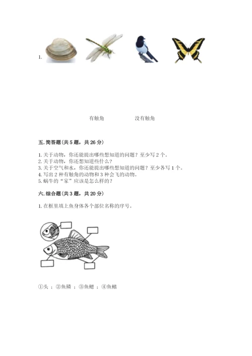教科版一年级下册科学期末测试卷附答案【轻巧夺冠】.docx