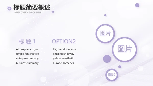 紫色梦幻医美商业计划书动态PPT
