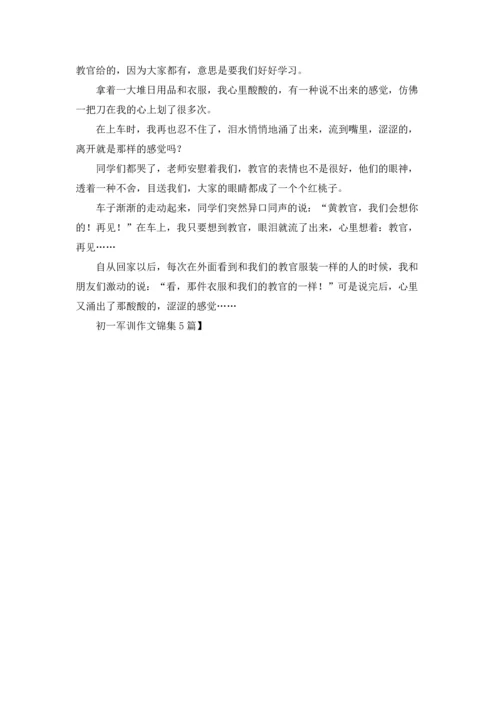 初一军训作文锦集5篇.docx