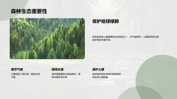 守护绿色：林业可持续方案