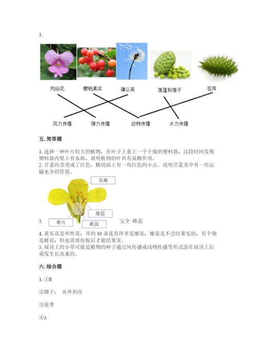 教科版科学四年级下册第一单元《植物的生长变化》测试卷汇编.docx