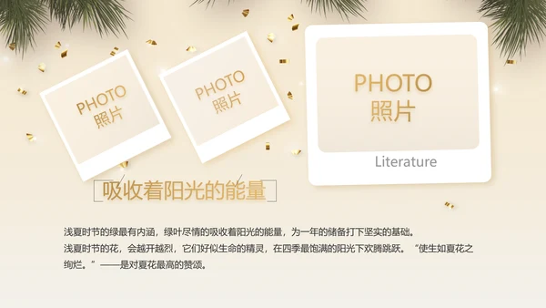圣诞快乐圣诞节组织活动策划方案PPT