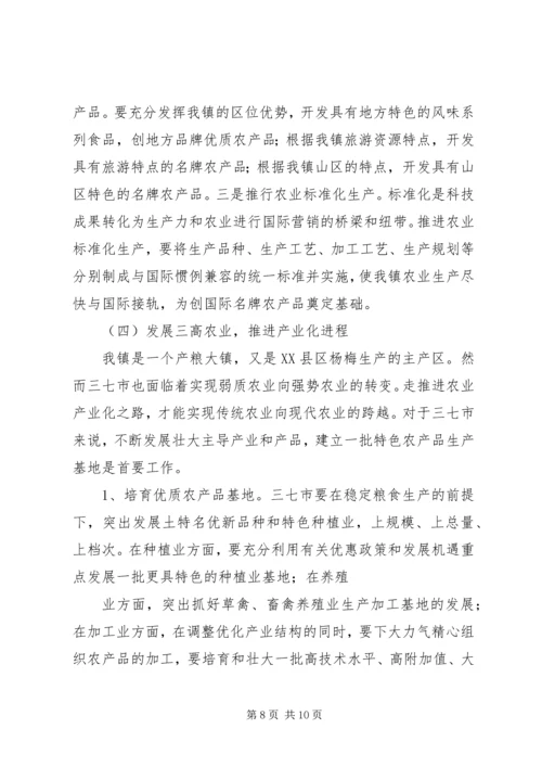 全面提升乡镇农业综合竞争力.docx