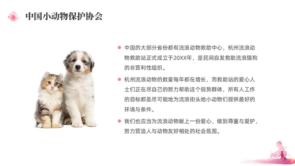 紫红色水彩简约关爱流浪动物宣传教育PPT课件