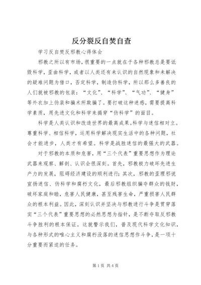 反分裂反自焚自查 (5).docx