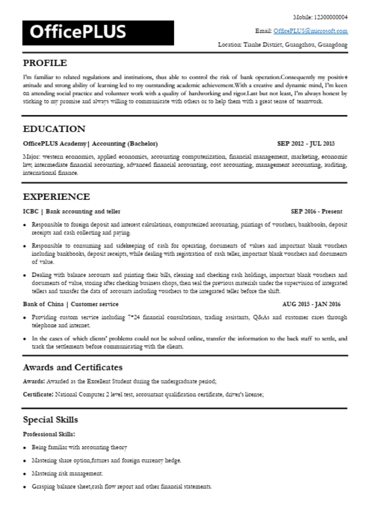 标准黑白英文简历