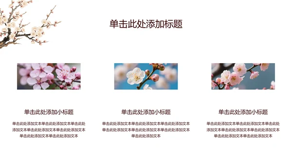 白色简约风梅花介绍PPT模板