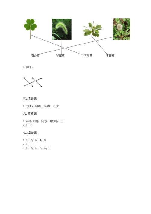 教科版科学一年级上册第一单元《植物》测试卷（能力提升）word版.docx