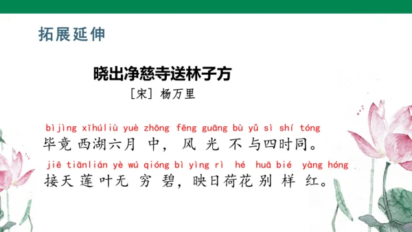 11古诗二首 小池  课件