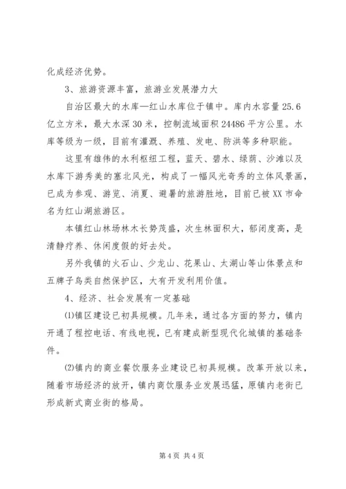 乡镇总体规划政府审批会议汇报材料.docx