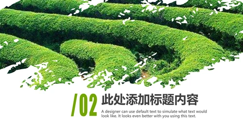 清新绿茶茶文化采茶茶道茶艺茶文化PPT模板