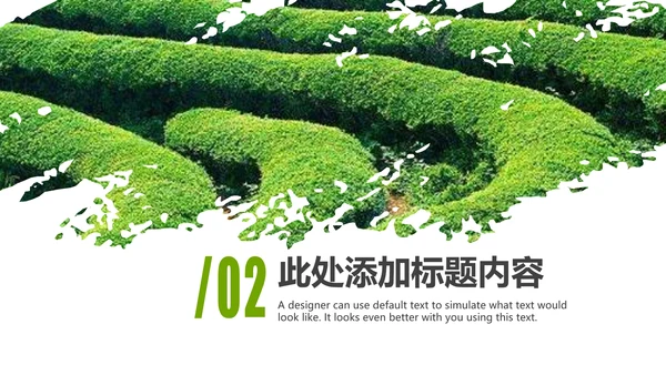 清新绿茶茶文化采茶茶道茶艺茶文化PPT模板