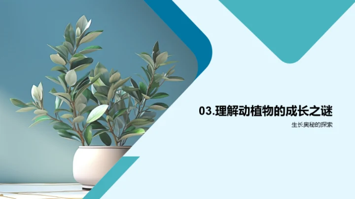 科学探索与实践之旅