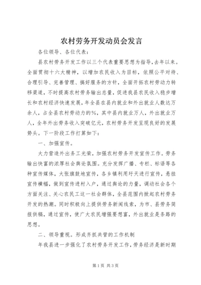 农村劳务开发动员会发言.docx