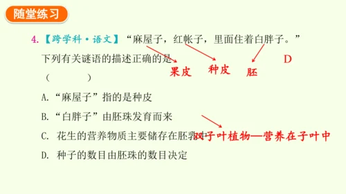 3.1.3开花和结果-七年级生物下学期同步精品课件（2024人教版）(共27张PPT)