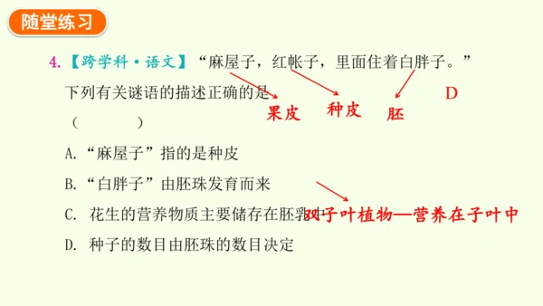 3.1.3开花和结果-七年级生物下学期同步精品课件（2024人教版）(共27张PPT)