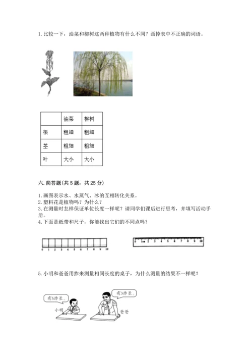 教科版科学一年级上册期末测试卷附完整答案（全国通用）.docx