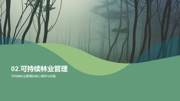 绿色林业：守护地球
