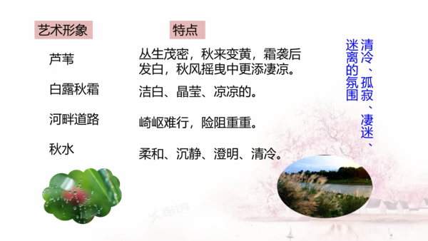 第12课 《诗经》二首——蒹葭 课件(共17张PPT)
