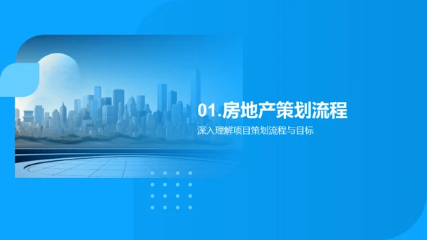 地产策划与演示技巧