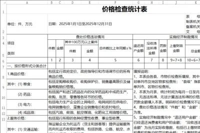 价格检查统计表