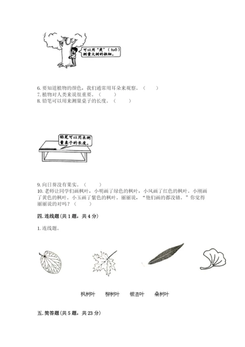 教科版一年级上册科学期末测试卷【夺冠系列】.docx